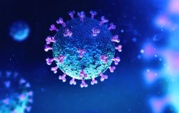The Stratus (or Frankenstein) variant is believed to account for 36% of recent infections