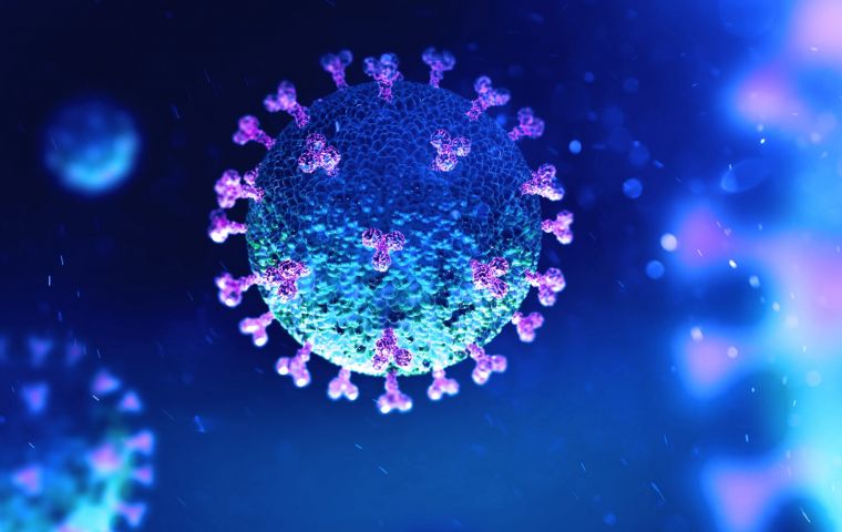 The Stratus (or Frankenstein) variant is believed to account for 36% of recent infections