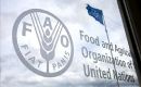 Brazil had returned to the FAO's Hunger Map in the 2018-2020 period