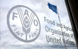 Brazil had returned to the FAO's Hunger Map in the 2018-2020 period