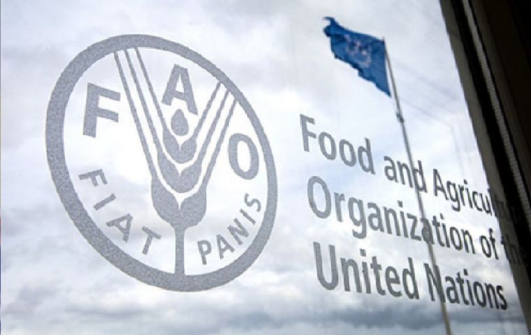 Brazil had returned to the FAO's Hunger Map in the 2018-2020 period