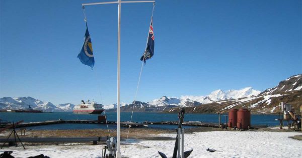 South Georgia, new electronic permit system for visitors delayed for technical reasons