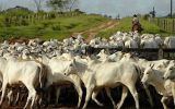 Paraguay's beef exports are expanding rapidly