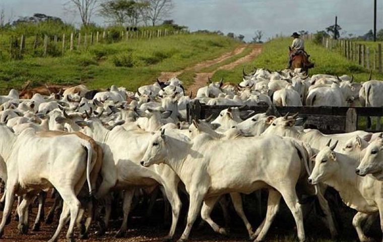 Paraguay's beef exports are expanding rapidly