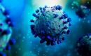 “In Argentina, the current situation of SARS-CoV-2 variants is characterized by the exclusive circulation of the Omicron variant,” it was explained