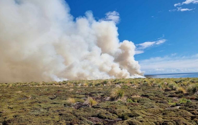 Wildfires are a natural aspect of the Falklands landscape, regularly occurring as a result of lightening. 