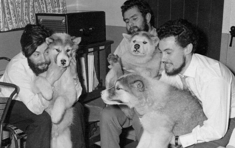 Dennis Bell (left) with his fellow colleagues and the dogs that helped them to work in Antarctica. Midwinter 1959 at Admiralty Bay Base. Credit: unknown.