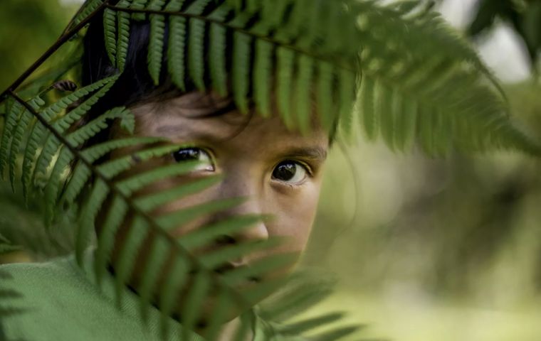 According to the Health Ministry, 94 violent deaths of indigenous children and adolescents were recorded in the Legal Amazon in the 2021-2023 period