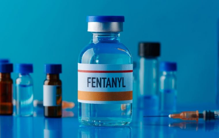 Fentanyl is between 50 and 100 times more potent than morphine