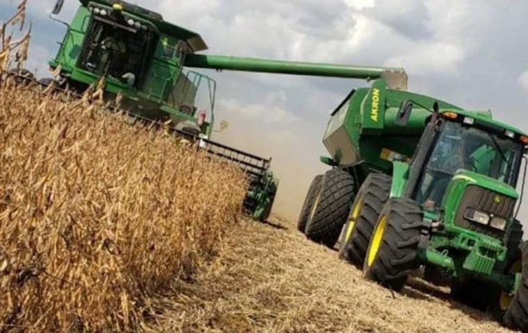 The soybean crop has been estimated at 169.7 million tons, 15% higher than in 2023/24. Abundant credit and excellent climate helped to boost production