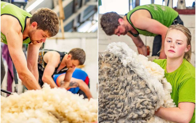 Winners will share a prize fund of £16,000, split between shearing and wool handling categories. An official reception at Government House will mark the occasion