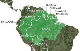The document provides for coordinated joint environmental actions