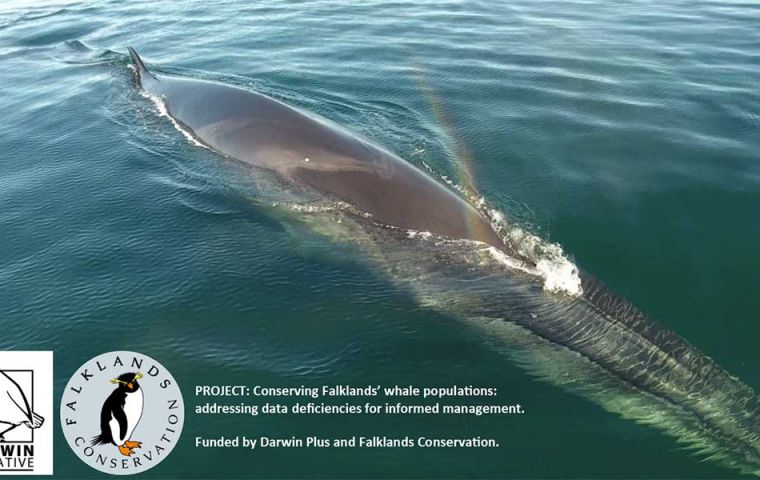 Darwin Plus, under ODA has benefited and included the Falkland Islands with 43 programs, helping with resources to manage them 