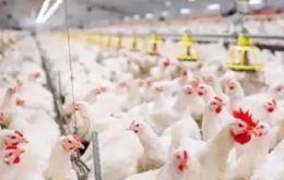 This decision follows the detection at a facility in Los Toldos, Buenos Aires Province