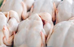 So far, 41 countries have resumed purchases from the South American country following this year's detection in southern Brazil 