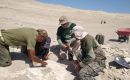 The fossil was found two years ago, but is to be removed from a thick rock in the coming days