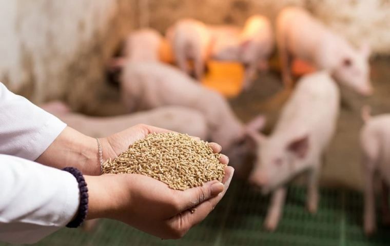These products are in the animal feed industry