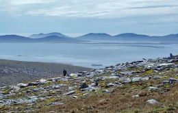  The Hill Cove Mountains National Park will be the first higher altitude protected area in the Falkland Islands, covering 11,833 hectares (29,240 acres) of public land. (Pic FIG)