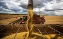 A total of 86% of the 19.6 million tons that reached the US$7 billion ceiling by Thursday were registered by seven export companies. And that had an impact on the grain market