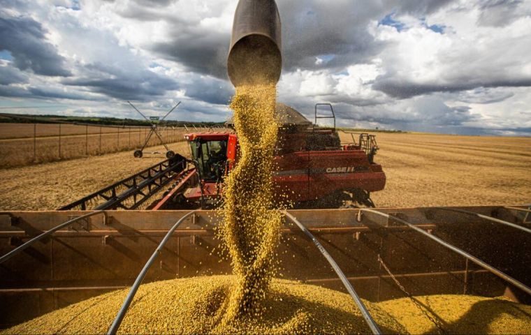 A total of 86% of the 19.6 million tons that reached the US$7 billion ceiling by Thursday were registered by seven export companies. And that had an impact on the grain market