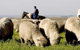 The sheep meat market is also holding strong 