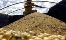 China’s embargo on American beans has created a seller’s market in South America. What would have been a glut from a bumper harvest has become a stockpile. 