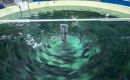 Salmon floating pens at sea where fish is grown