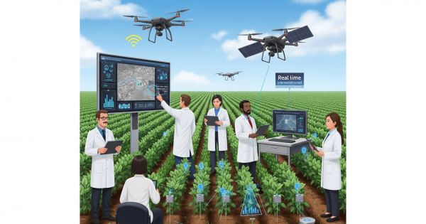 Visualizing Crop Health: How Data Drives Smarter Farming Decisions