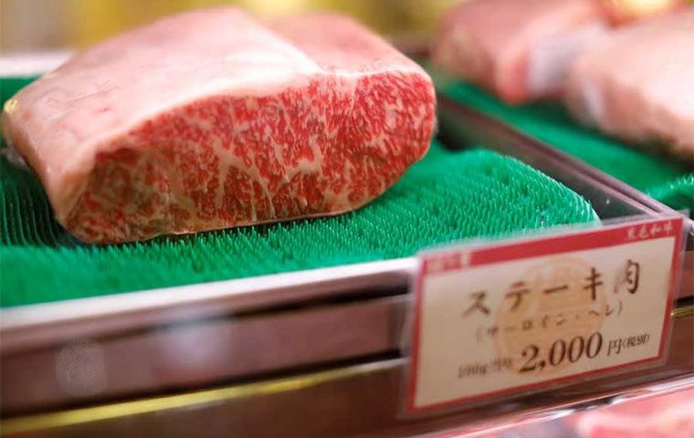 A Japanese team is due in Brazil this month to check the States of Santa Catarina, Paraná, and Rio Grande do Sul, Fávaro confirmed