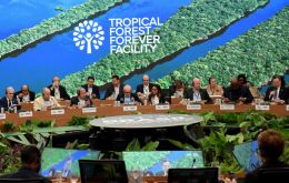 The TFFF is expected to have a transformative impact on national forest conservation policies