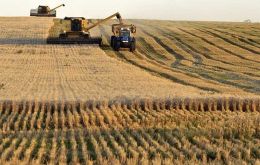 CONAB reported that sowing crops remains positive with at least 56% of the whole area already planted at the start of November