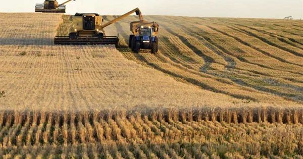 Brazil estimates another record harvest in 2025/26, totaling 354 million tons
