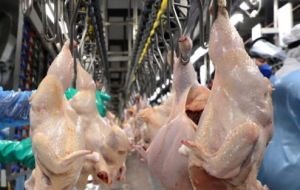 Albania remains the main destination of Paraguayan poultry shipments