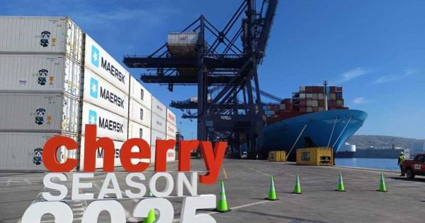 Chile launches “Cherry Express” to China season