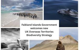  Home to more than 90% of the UK’s unique species, many found nowhere else on Earth