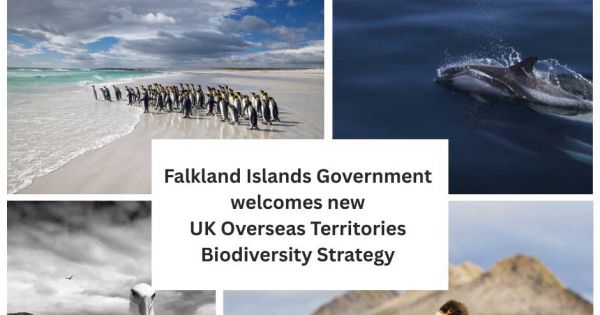 Falklands welcomes publication of the UK Overseas Territories Biodiversity Strategy