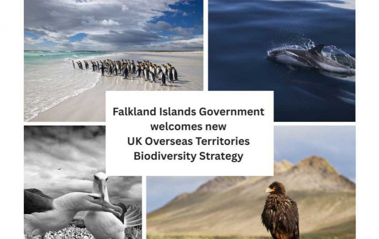  Home to more than 90% of the UK&rsquo;s unique species, many found nowhere else on Earth