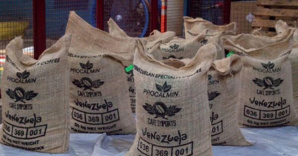 Venezuelan coffee exports grow 500% from 2024
