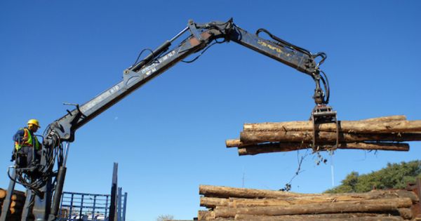 Kiwi forestry giant approved for Uruguayan benefits program