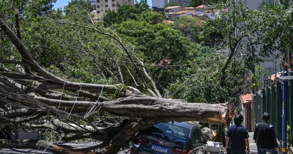 Severe storms cause havoc in São Paulo