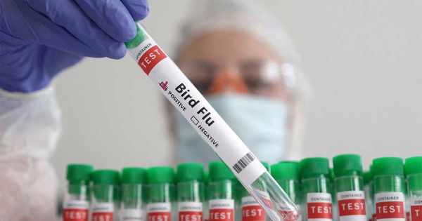 First case of super flu K confirmed in Mexico