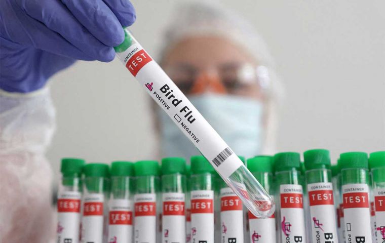 This highly contagious variant exhibits clinical characteristics similar to common seasonal influenza