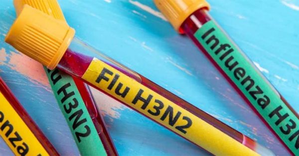 Peru confirms first 2 cases of H3N2 “variant K” flu