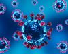 Health alerts issued in Chile and Bolivia following superflu detections