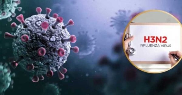 Health alerts issued in Chile and Bolivia following superflu detections