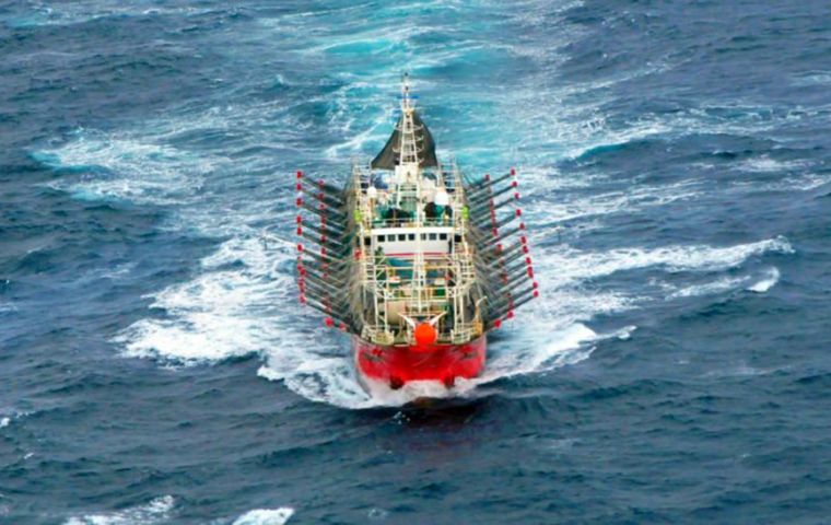 The squid calendar approved, has been tiered as defined by the technical report from INIDEP (Argentina&rsquo;s Fisheries Research Institute)