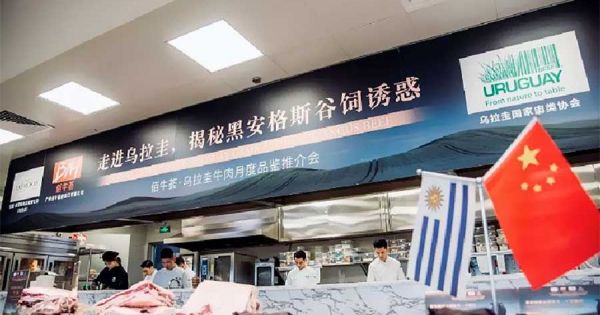 China announces beef import quotas