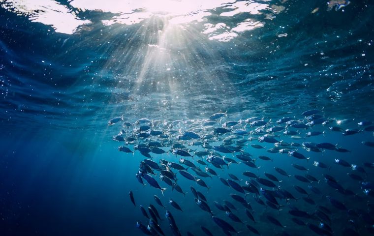 Among the immediate obligations, countries must conduct environmental impact assessments for planned activities beyond national jurisdiction