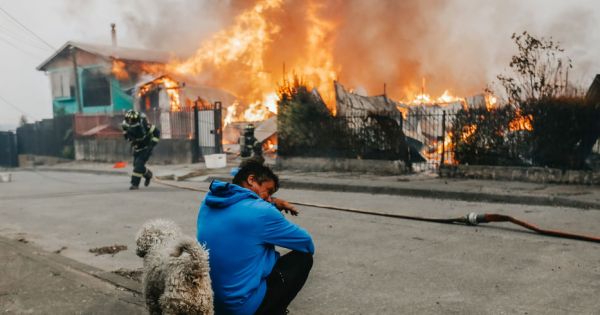 Chile wildfires kill at least 18; Boric orders curfew and declares state of catastrophe