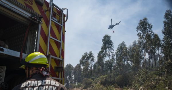 Uruguay to send 40 firefighters to Chile as Biobío and Ñuble wildfires leave at least 20 dead